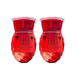 两盏光明祈福灯 · 30日长明 Two Lamps for Luminous Blessing · 30 Days of Constant Illumination